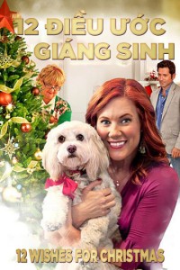 Xem phim 12 Điều Ước Giáng Sinh - 12 Wishes For Christmas (2011)