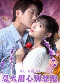 Xem phim Cô Em Nóng Bỏng, Đừng Cố Bỏ Chạy - Honey, I demand your love (2018)