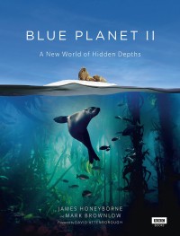 Xem phim Đại Dương Sâu Thẳm 2 - The Blue Planet 2 (2015)