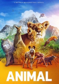 Xem phim Động vật (Phần 2) - Animal (Season 2) (2022)