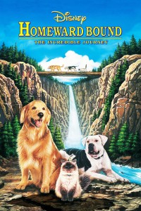 Xem phim Homeward Bound: The Incredible Journey - Homeward Bound: The Incredible Journey (1993)