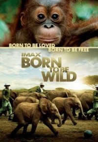 Xem phim Những Loài Vật Mồ Côi - Born to Be Wild (2011)