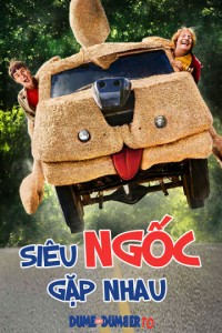 Xem phim Siêu Ngốc Gặp Nhau - Dumb and Dumber To (2014)