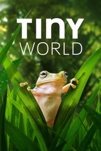 Xem phim Thế Giới Siêu Nhỏ (Phần 2) - Tiny World (Season 2) (2021)