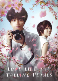 Xem phim Tình Yêu Như Cánh Hoa Rơi - Love Like the Falling Petals (2022)