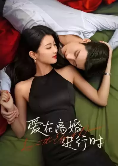 Xem phim Yêu Khi Sắp Ly Hôn - Love on the Edge of Divorce (2025)